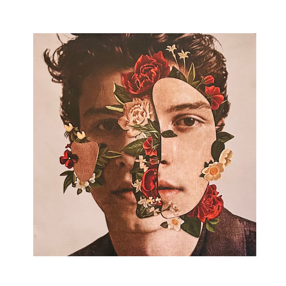 Shawn Mendes LP
